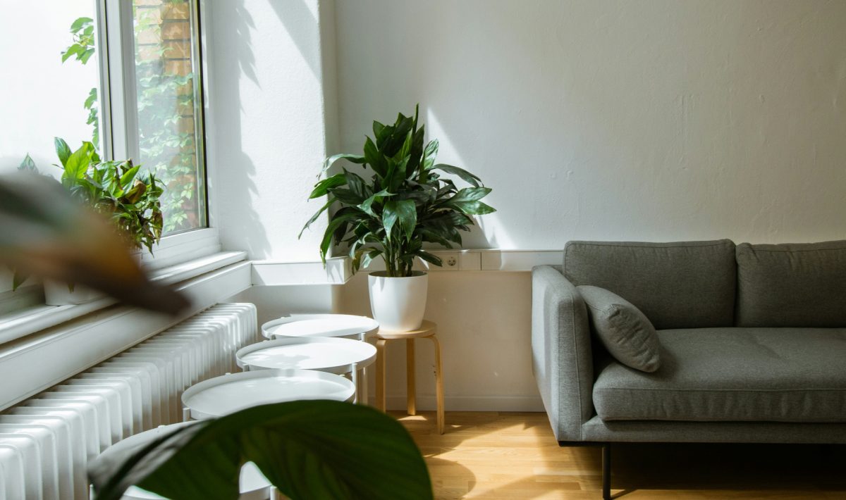 Investissement locatif : un projet clé en main